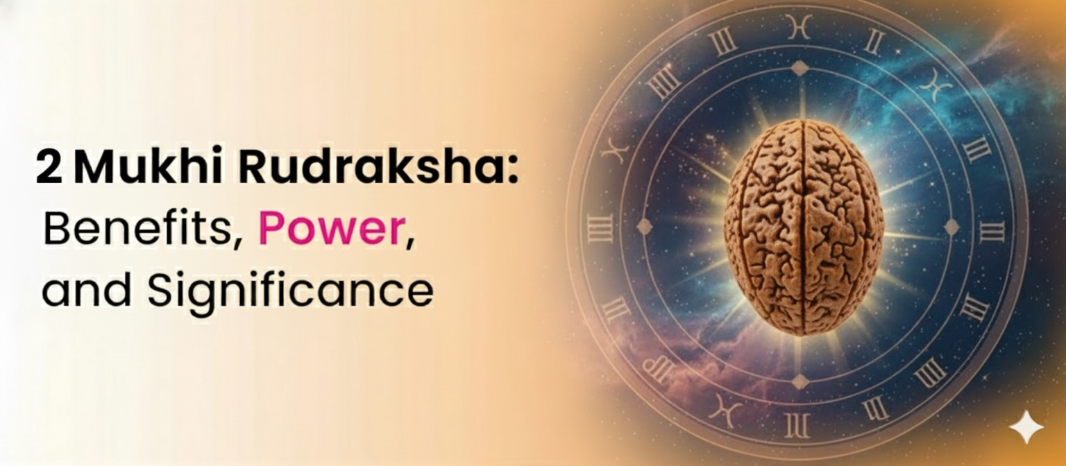 2 Mukhi Rudraksha: Benefits, Power, and Significance as per Vedic Astrology