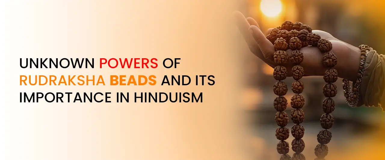 Unknown Powers of Rudraksha Beads & Their Importance in Hinduism