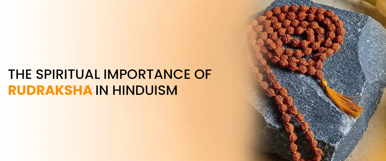 The Spiritual Importance of Rudraksha in Hinduism