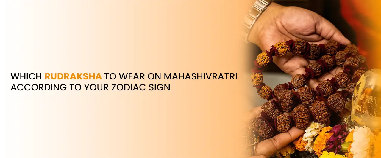Which Rudraksha to Wear on Mahashivratri According to Your Zodiac Sign
