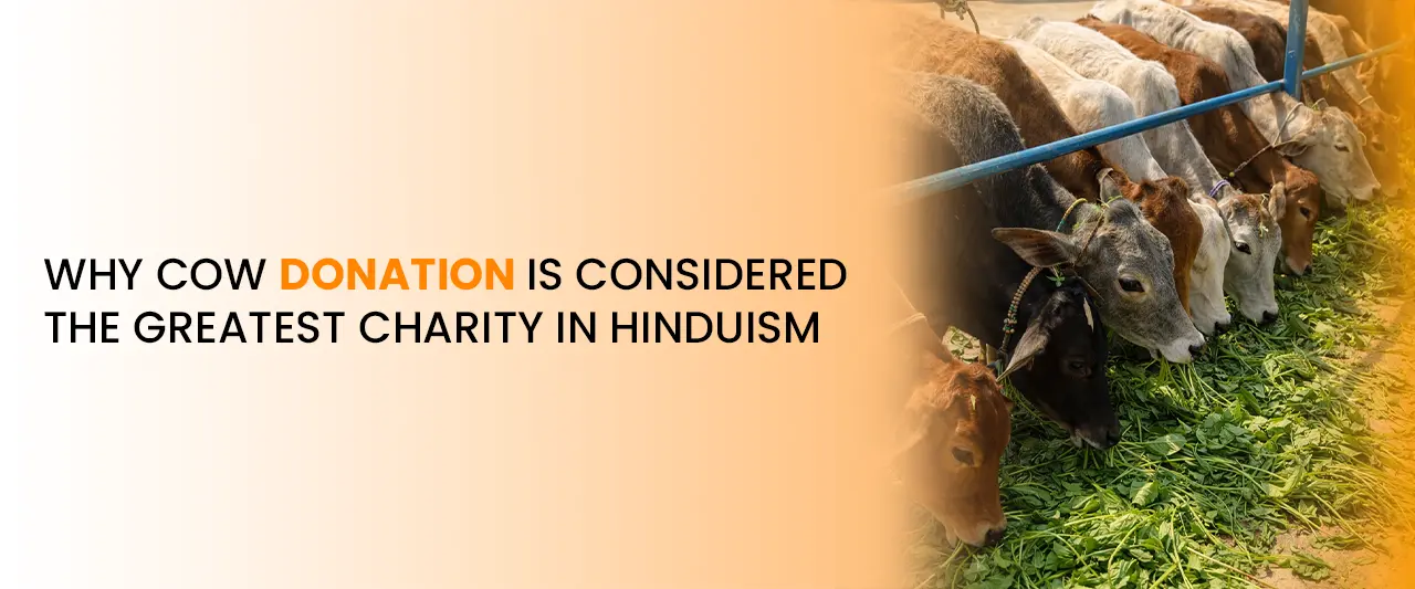 Why Cow Donation Is Considered the Greatest Charity in Hinduism