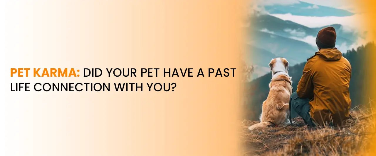 Pet Karma: Did Your Pet Have a Past Life Connection With You?