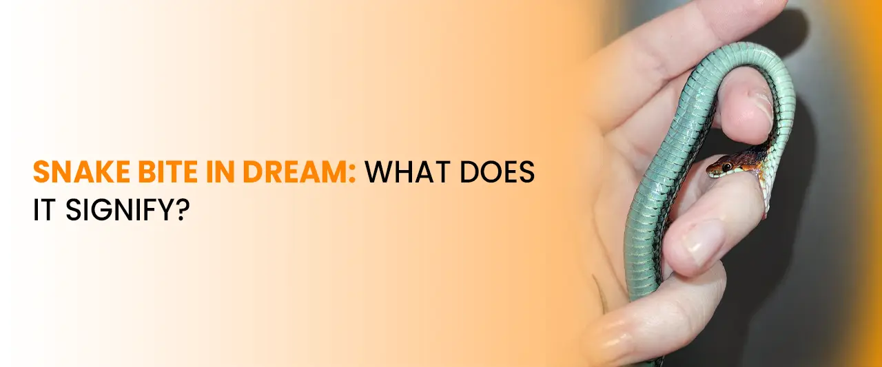 Snake Bite In Dream: What Does It Signify?