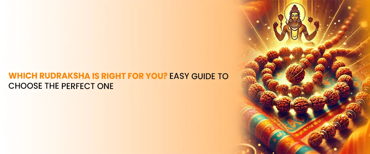 Which Rudraksha is Right for You? Easy Guide to Choose the Perfect One