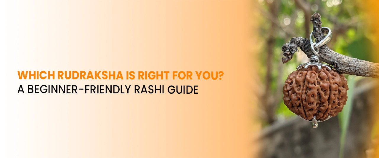 Which Rudraksha Is Right for You? A Beginner-Friendly Rashi Guide
