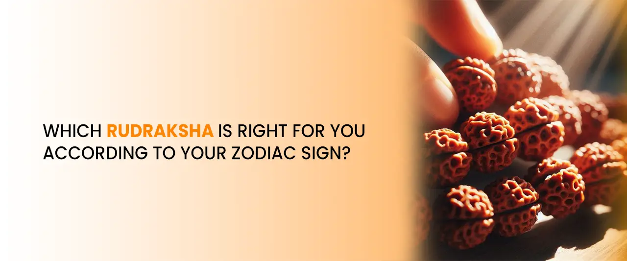 Which Rudraksha Is Right for You According to Your Zodiac Sign?