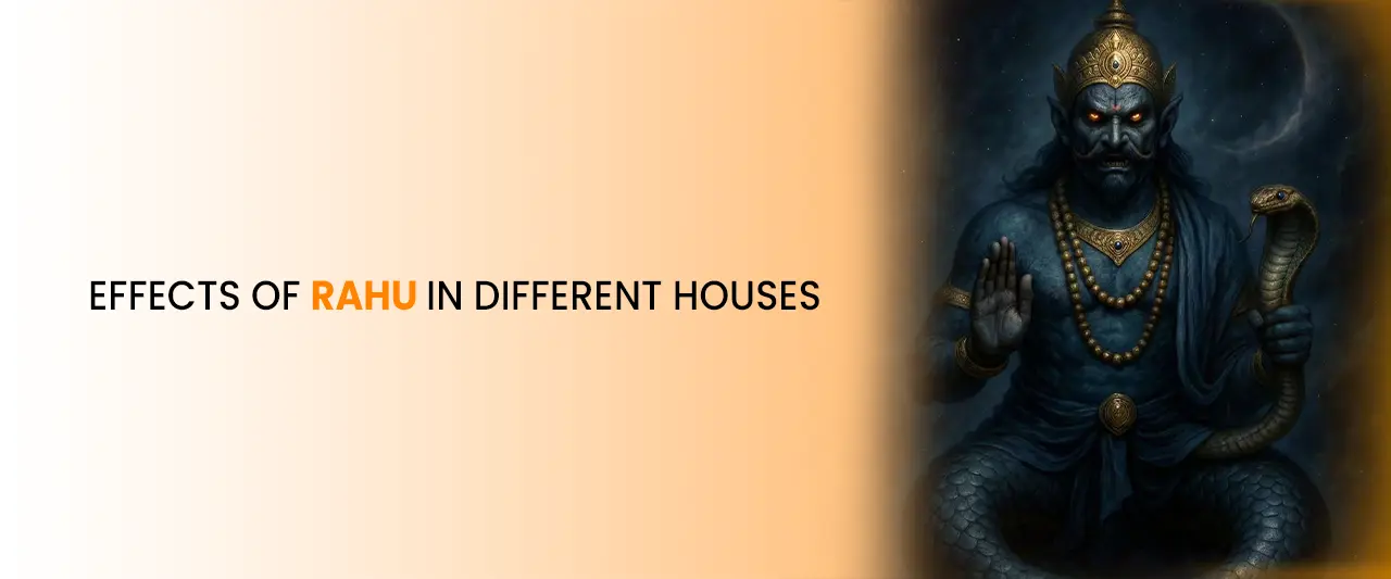 Effects of Rahu in Different Houses
